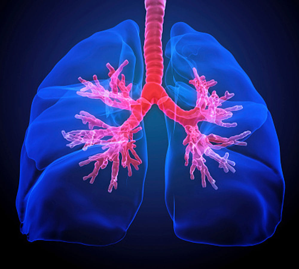 common cold can lead to many dangerous disease