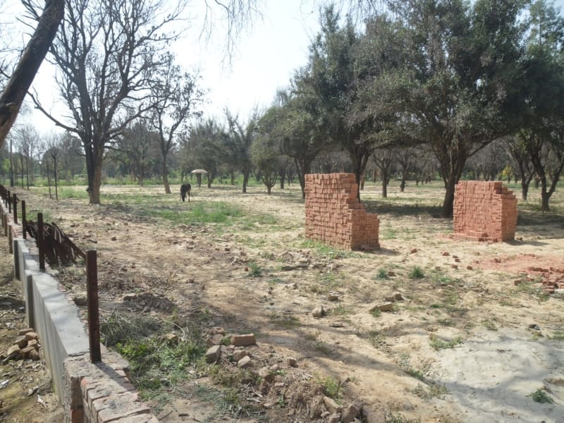 fraud in makeover of jawahar bagh in mathura