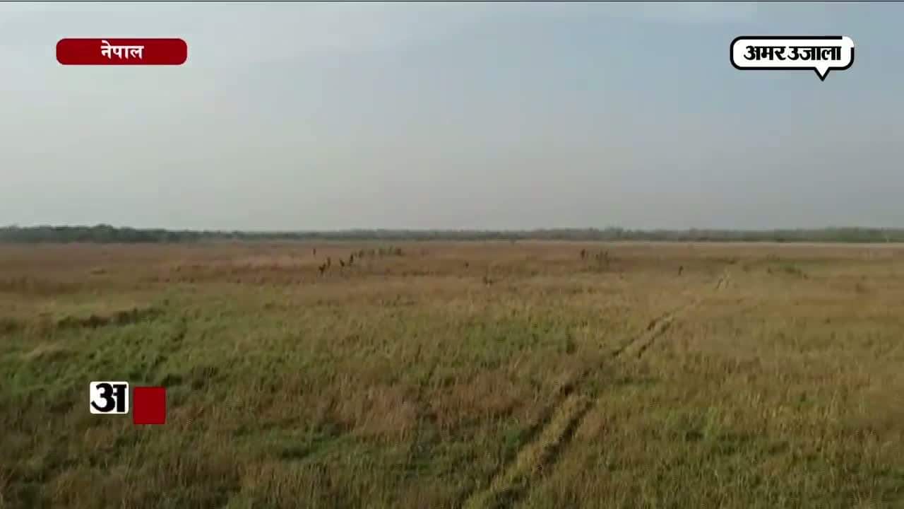 महेंद्रनगर 