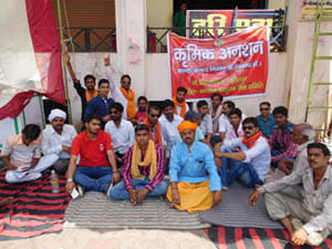 demand for cow house