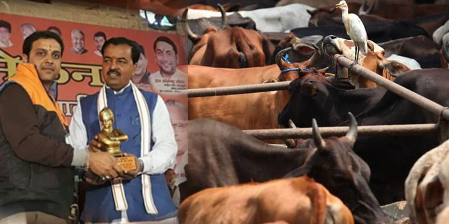 rahul thakur parter in meat plant