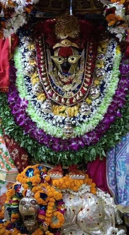 Lakhs of people visited Vindhyasini temple 