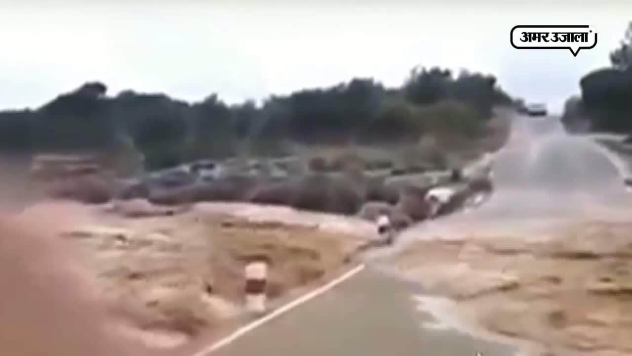 वायरल वीडियो