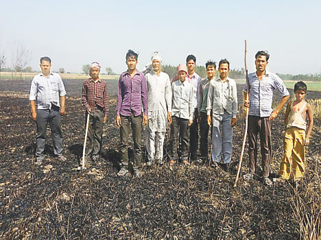 HT line fall, 80 bigha wheat crop burnt