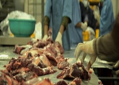 registration and licence compulsory for meat shop