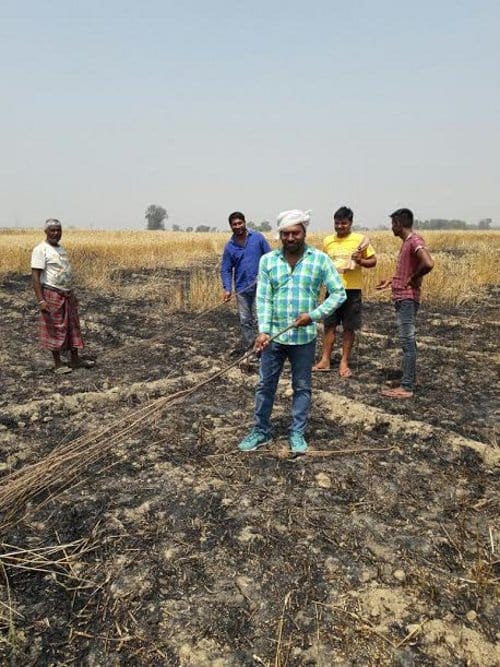 Wheat crop burnt due to fire in two villages