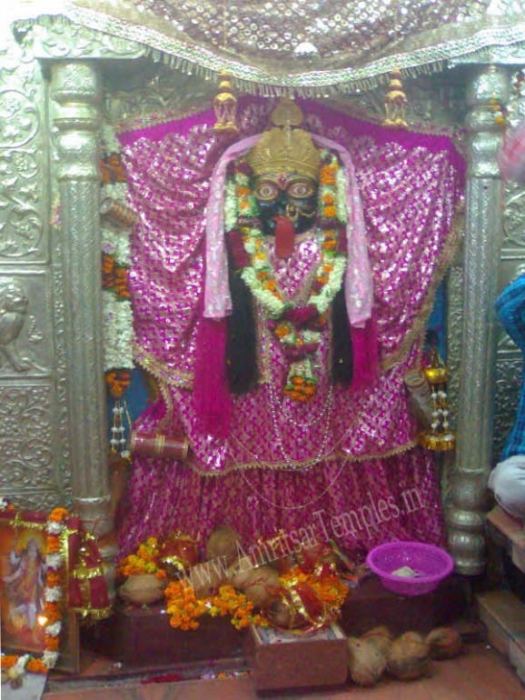 a unique temple of maa bhadrakali at amritsar, people serve prasad of wine and non veg