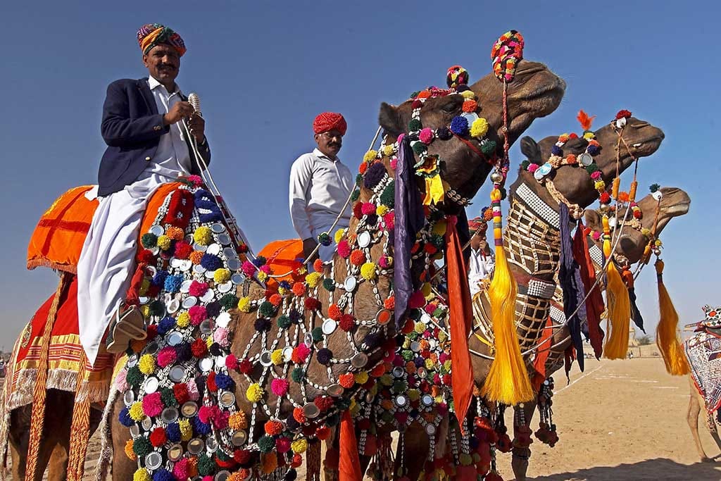 many programme will be organize at rajasthan diwas