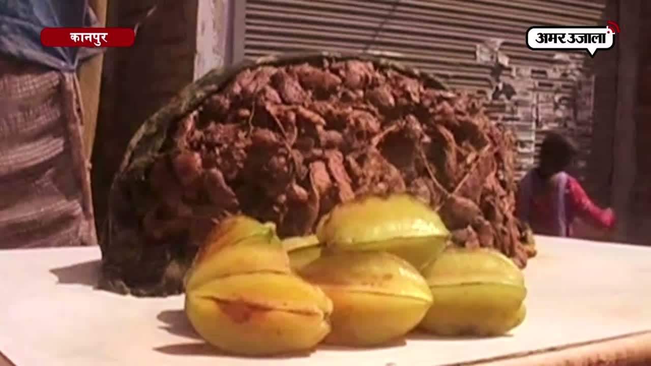 कानपुर, अवैध बूचड़खाने, मीट विक्रेता 