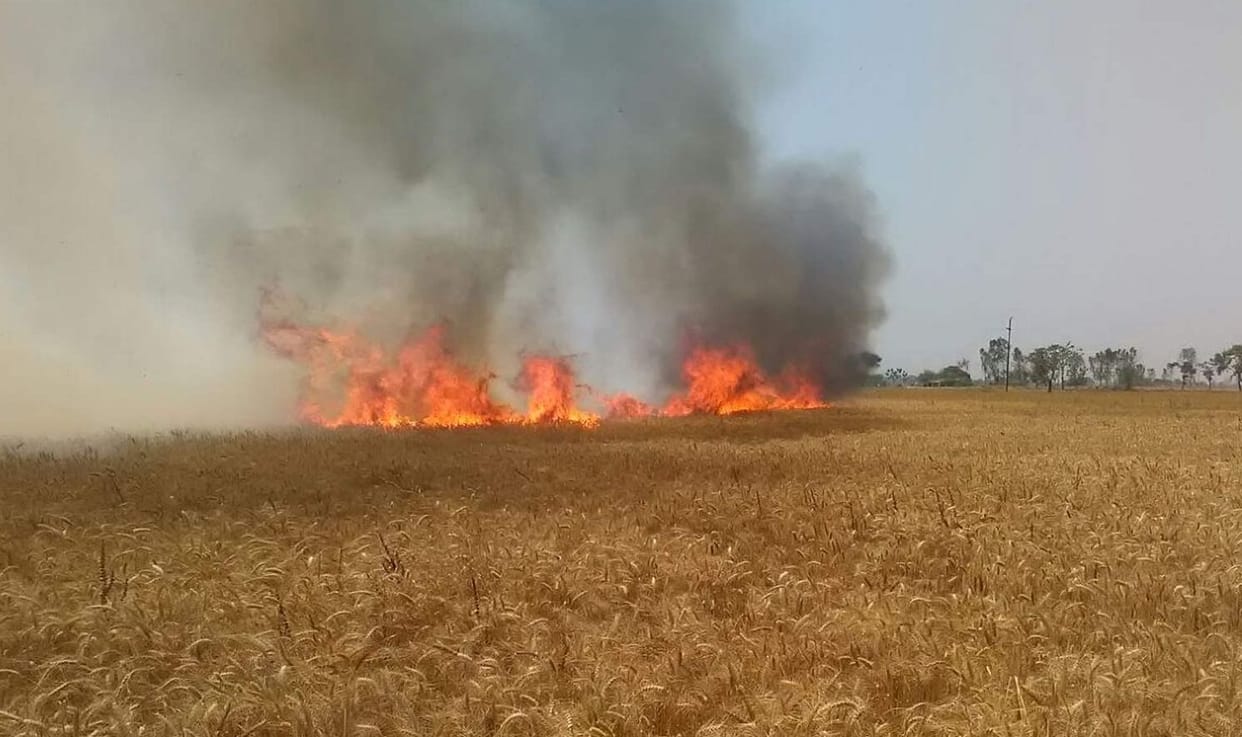 10 bigha wheat, 10 biswa barley burnt, LIC office work stalled
