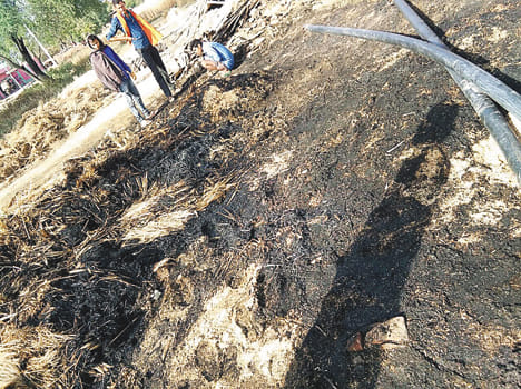 Seven bigha crop by fire