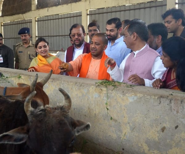cm adityanath reaches to kanha upvan