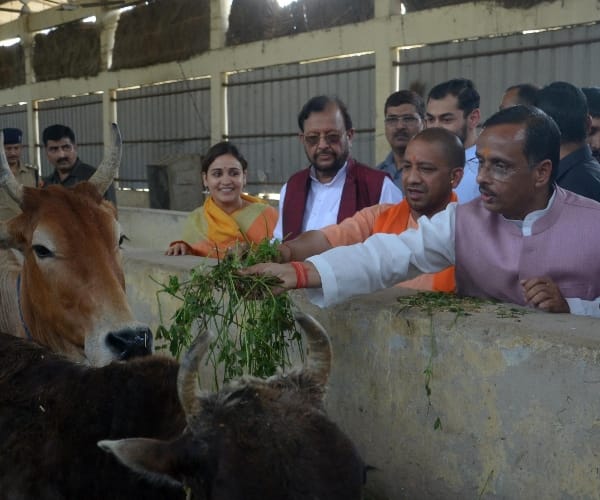 cm adityanath reaches to kanha upvan