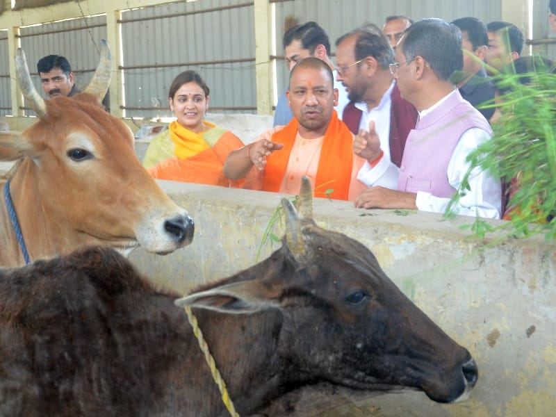 cm adityanath reaches to kanha upvan