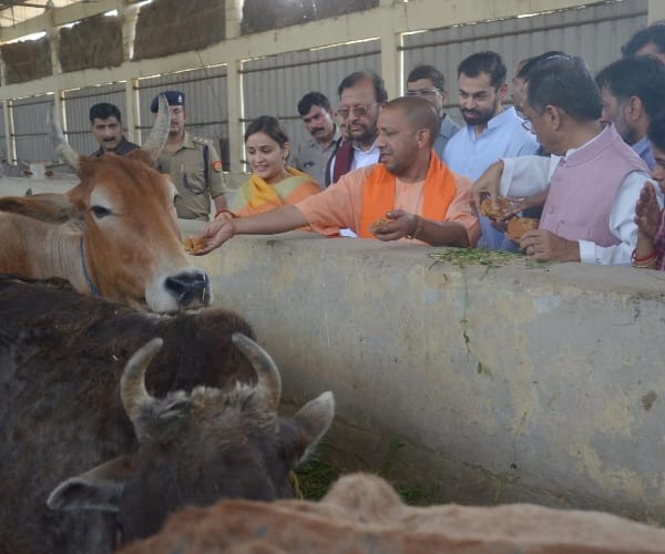 cm adityanath reaches to kanha upvan