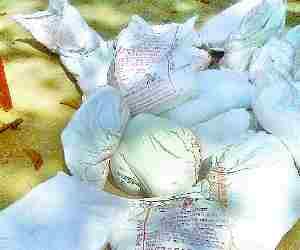 21 sacks of Pushtahar caught