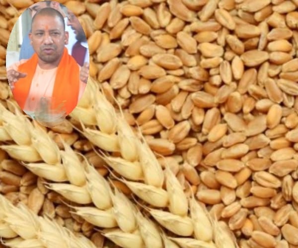 MP MLA to moniter in wheat selling in UP.