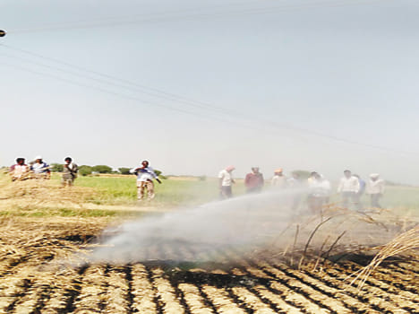 HT line broken, crop ash