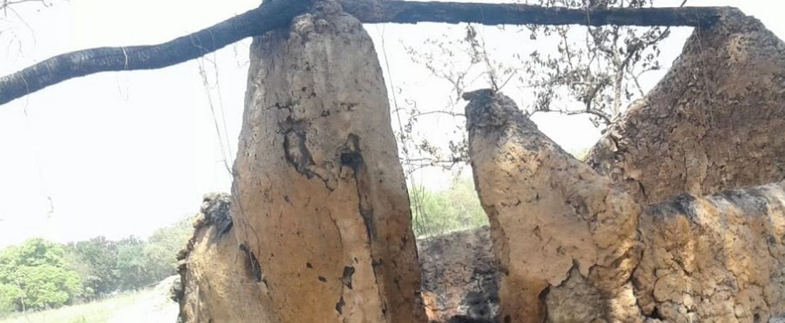 70 goats killed by fire