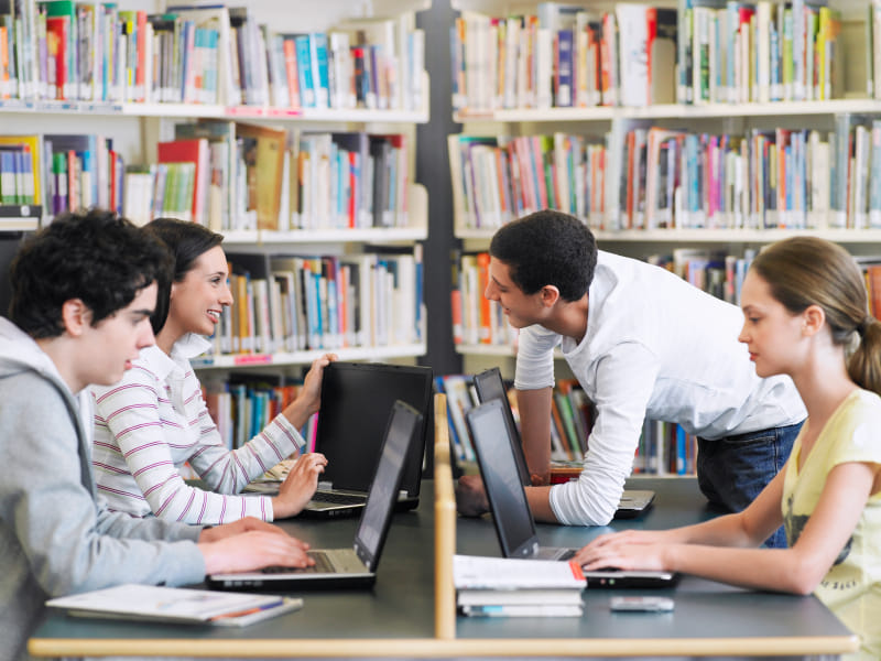 cel invites application for different posts from eligible candidates