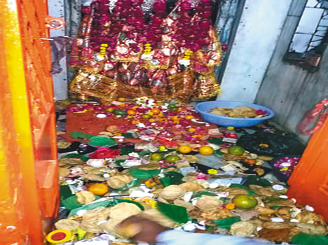 Devotees who have reached the temples