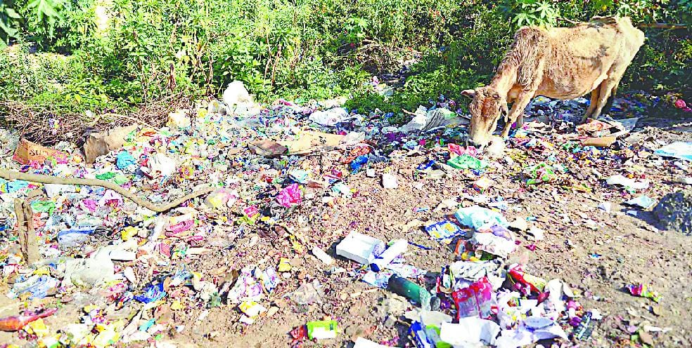 There is mess on every part of Ramganga