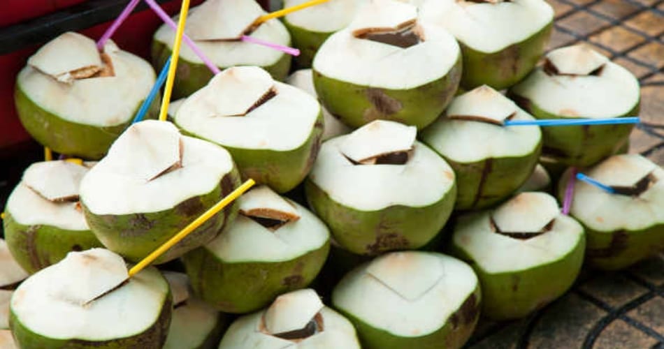eat food in summer season