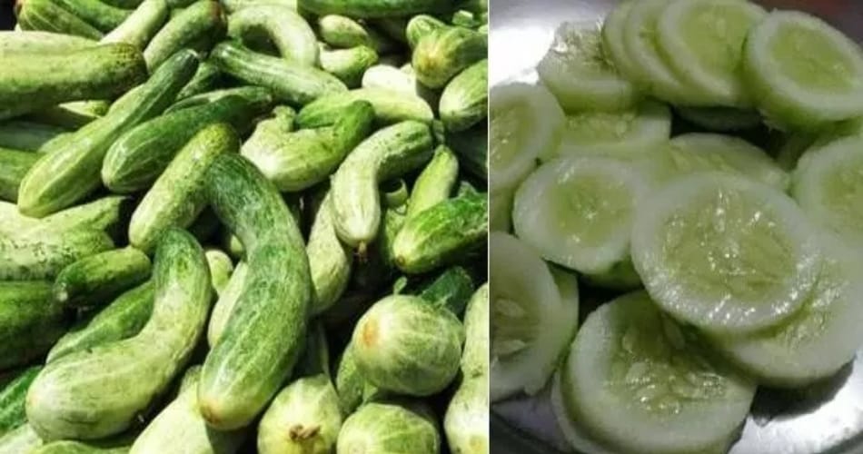 eat food in summer season