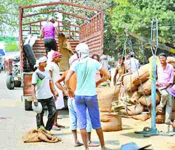 Silent scrapping at wheat purchase centers