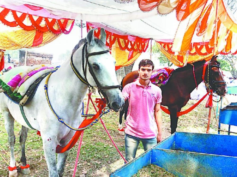 horse auction in chaiti mela program 
