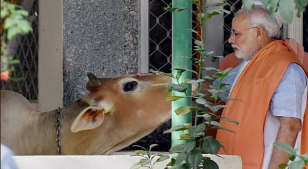 Asaduddin Owais says BJP hypocrisy is that in Uttar Pradesh Cow is mummy and Northeast its yummy