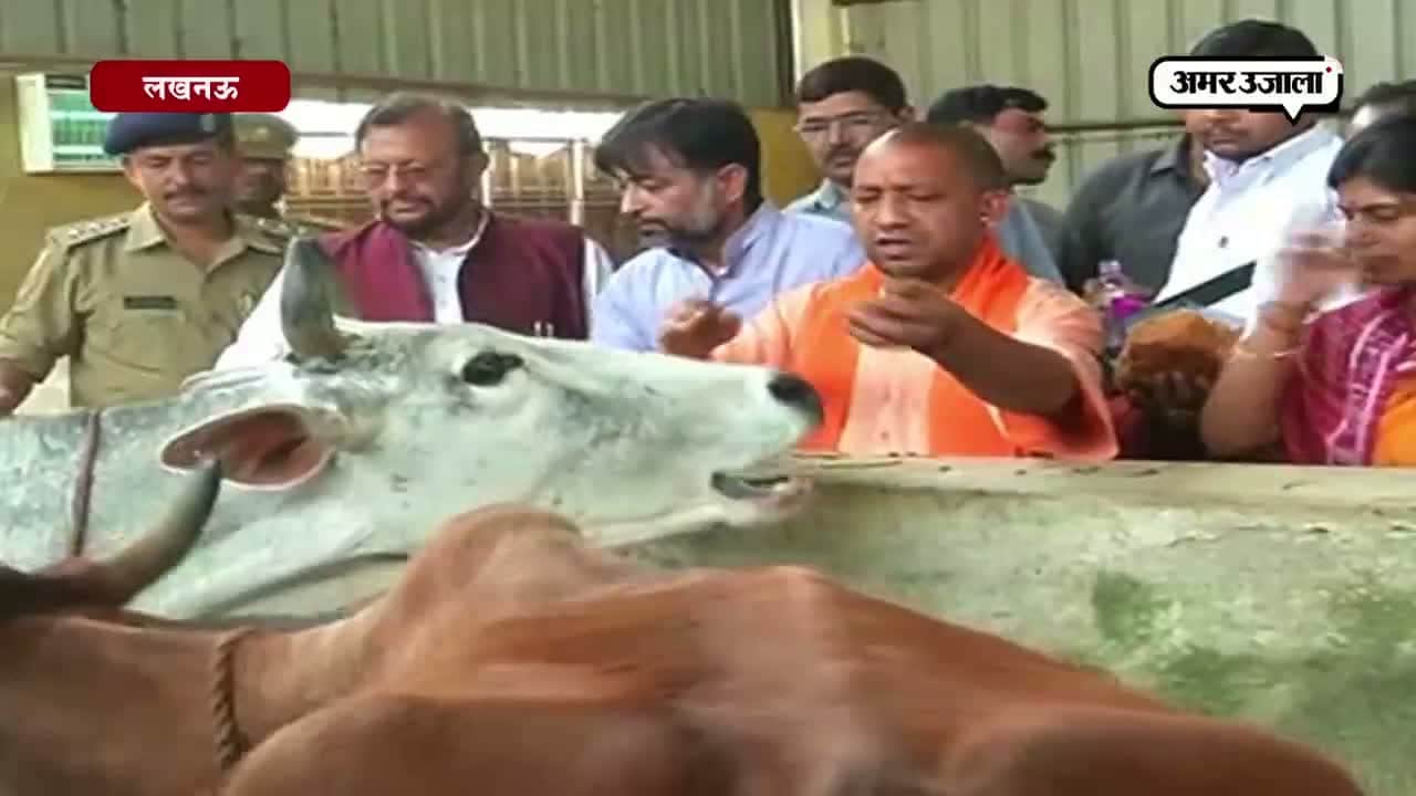 योगी आदित्यनाथ