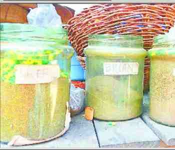 Cannabis is made from cow's ossuary