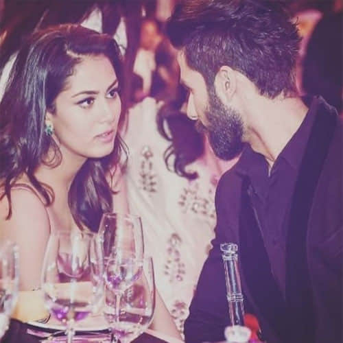 Shahid Kapoor Wife Meera Rajput Is Getting Lots Of Film Offers