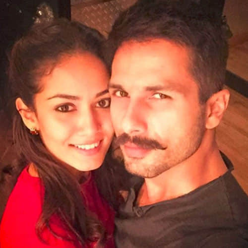 Shahid Kapoor Wife Meera Rajput Is Getting Lots Of Film Offers