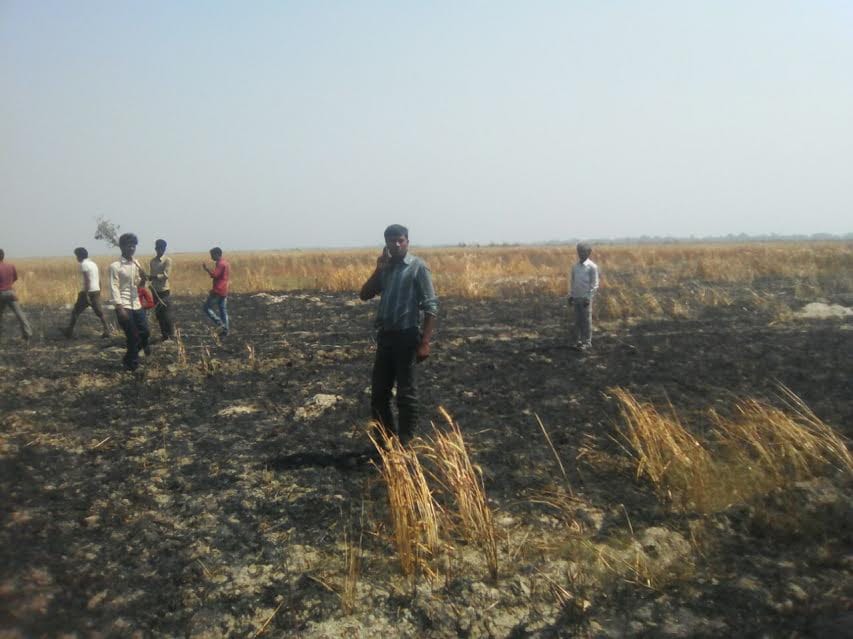 50 acre wheat burnt