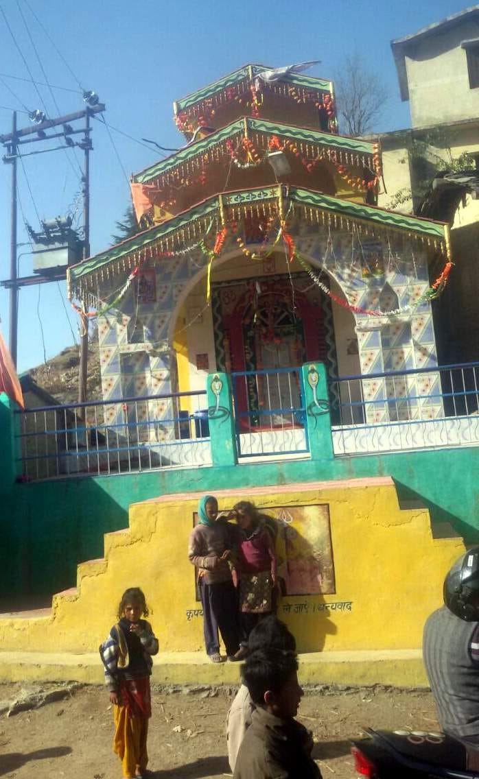 in this village human not dies due to snake venom