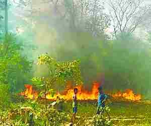 Fire in Amethi jungle