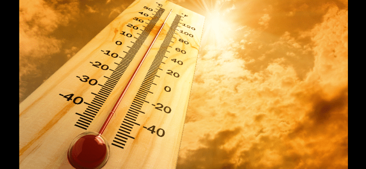 Cambridge study says most area of india is in 'danger zone' of heatwave, heat stroke symptoms and prevention