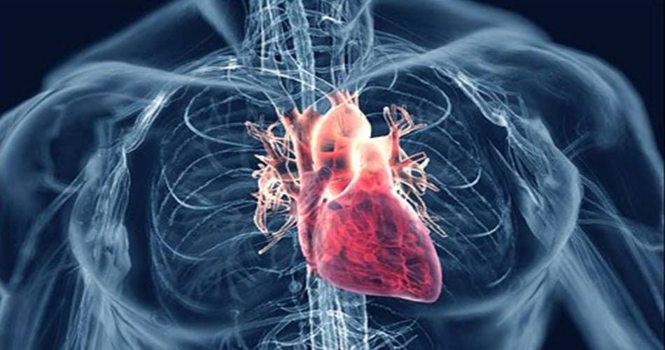 Heart Disease Symptoms & Signs of Heart Problems