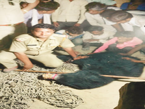 Four injured in attack in the village