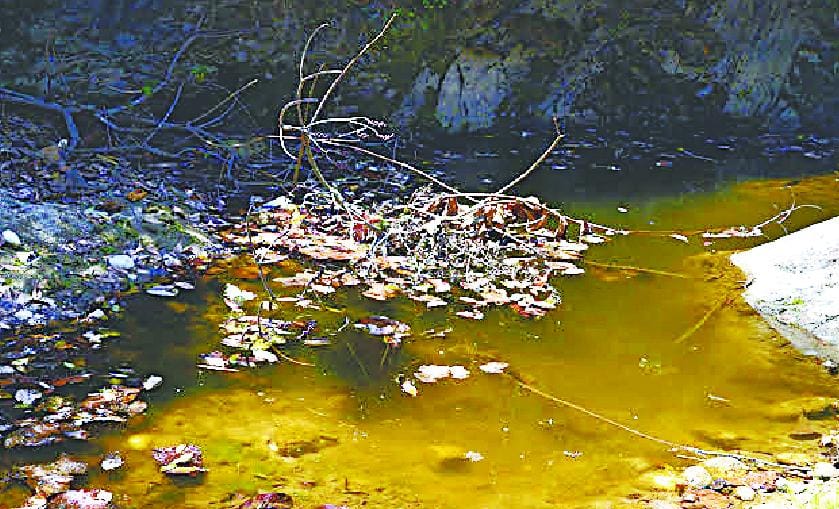 People who do not go to bath now in the river Kokila