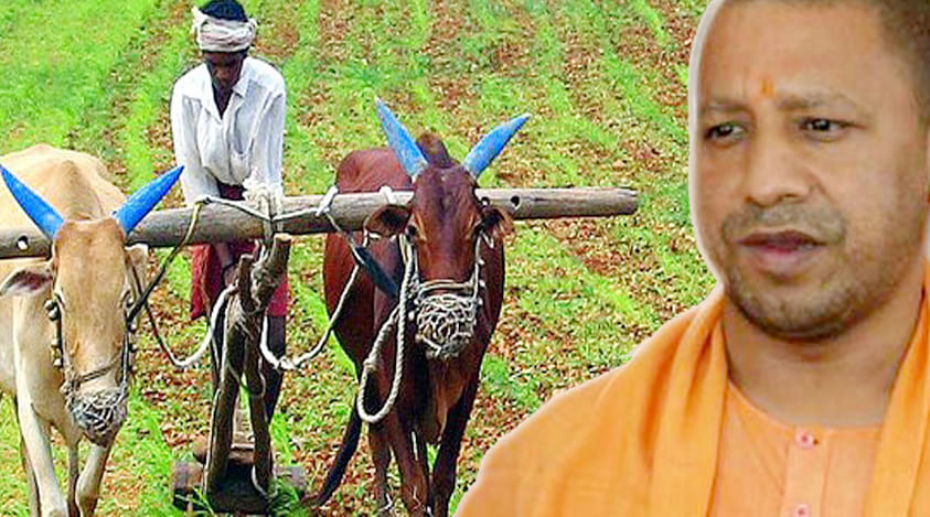 cm yogi action for public expectations