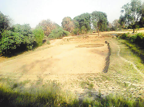 Irrigation Department stand, hand-filled ponds