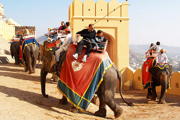 Elephant riding time will change