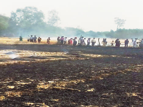 Nine fire, hundreds of beige wheat crop