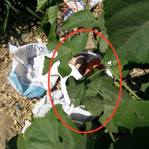 Newborn baby boy found dead in bushes near Una Himachal Pradesh
