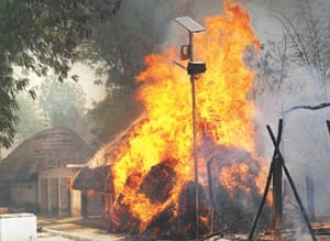 fire in forest belha