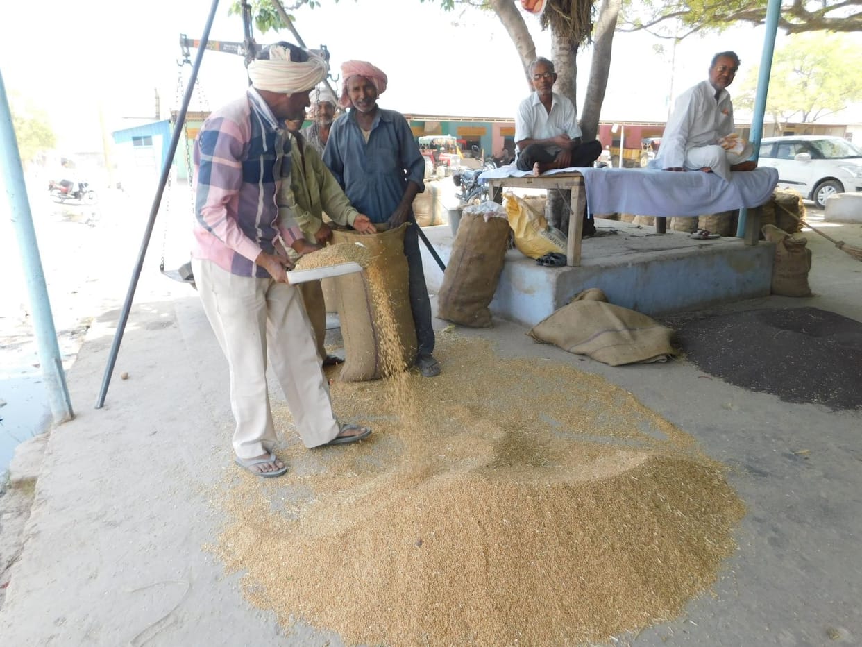 Government rate of wheat Rs 1625