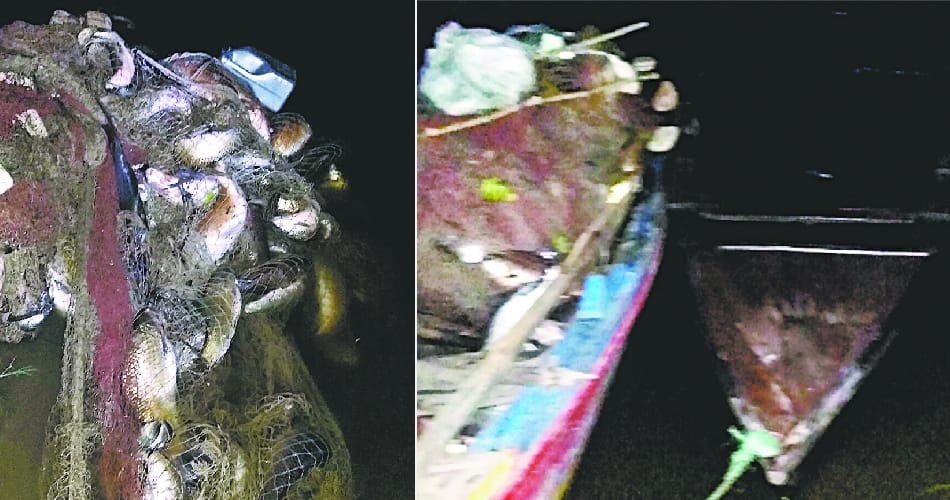 BSF caught 4 quintals of fish in Pakistan boat